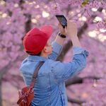 Bibi Tran - @bibitranjp - Instagram