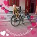 Bibi Tran - Facebook