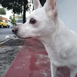 Bibi ❤️ - @_bibi_valdez_ - Instagram