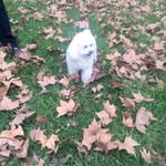 Bibiana Valdez - @bibi.valdez - Instagram