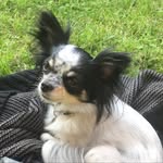 Bibi - @bibi_wein_ - Instagram