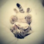 Bibi Wein - @getharokentros - Instagram
