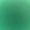 Bibime Weiss - @bibimeweiss - TikTok