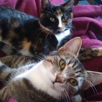 Baran and Bibi Wilson - Facebook