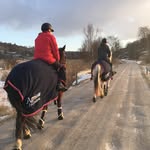 Miss Bibi & Mister Wilson - @missbibi_misterwilson - Instagram