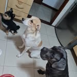 wilson bibi bolota - @wilson_bibi_bolota - Instagram