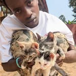 Wilson cats and dog rescue 🐈🐕💯 - @lubibiwilson12345 - Instagram