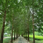 양선주 - @bibi___yang - Instagram