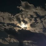 Bibi Yang - @bibi_urfav42 - Instagram