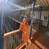 Bibian Lopez - @bimiloma - TikTok