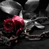 Bibiana Carrillo - @bibianacarrillo0 - TikTok