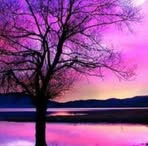 Bibiana Herrera - Facebook