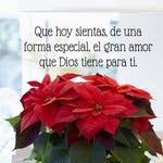 Bibiana Herrera - @sad_wonen - Instagram