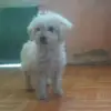 Bibi - @bibianajimenez8 - TikTok