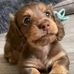 Bibiana Jimenez - Facebook