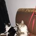 Bibiana Jimenez - Facebook