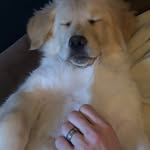 @bailey_biffen - Instagram