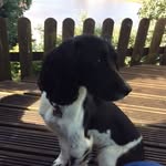 Tony Biff Bailey - @tonybiff - Instagram