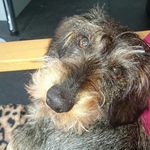 Anthony Baker - @biffbaker - Instagram