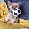biffy Barnes - @biffy.barnes - TikTok