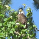 Biff Martin - @biffmartin - Instagram