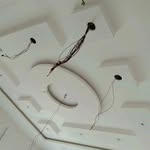 @bihari_lundh - Instagram