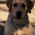Bill Ables - Facebook