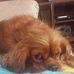 William Abner - Facebook
