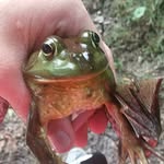 Bill Abram - @bill_abrams__ - Instagram