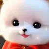 ❤billa😽hu🙈yar👀 - @billaho4 - TikTok