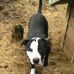 Billy Alger - Facebook