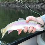 Bill A. - @bill.allman444 - Instagram
