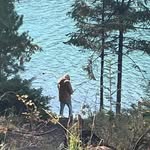 Bill Annand - @bill_annand - Instagram