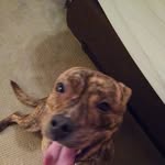 Bill Anton - @bill.anton.583 - Instagram