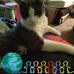Bill Appleton - Facebook