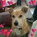 Bill Arney - Facebook