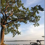 Billa - @billa__.sh - Instagram