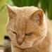 Bill Askew - Facebook