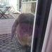 Bill Askew - Facebook
