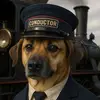 Billy Atherton - @billyatherton - TikTok