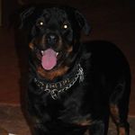 Bill Backus - @billbackus - Instagram