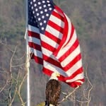 Bill Baggett Jr. - @billbees1 - Instagram