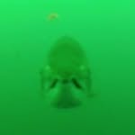 Bill Ballard - @bill.ballard.5059 - Instagram
