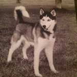 Bill Bannister - @bannisterbill - Instagram