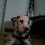 Bill Barron - @billionaire727 - Instagram