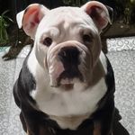 Bill Bartley - @bill_bartley_ - Instagram
