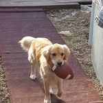 Bill Basham - @bashambill - Instagram