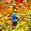 Billy_Basinger - @billy_basinger - TikTok