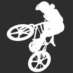 Bill Batchelor - @bill_batchelorbmx - Instagram