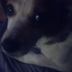 William Batchelder - Facebook